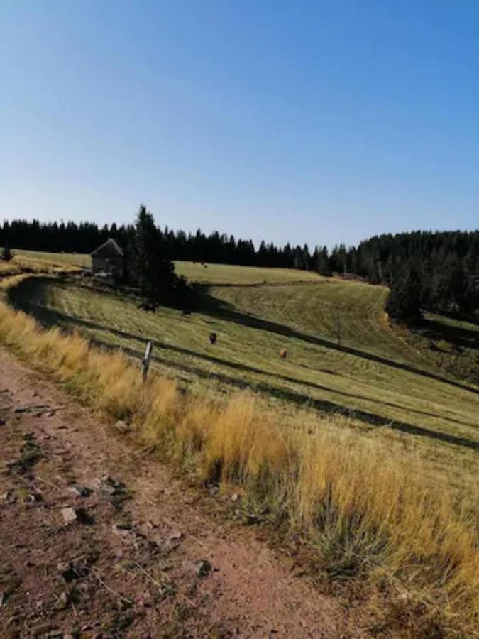 Les Locations De Stephanie Les Hautes Vosges Sondernach Eksteriør billede
