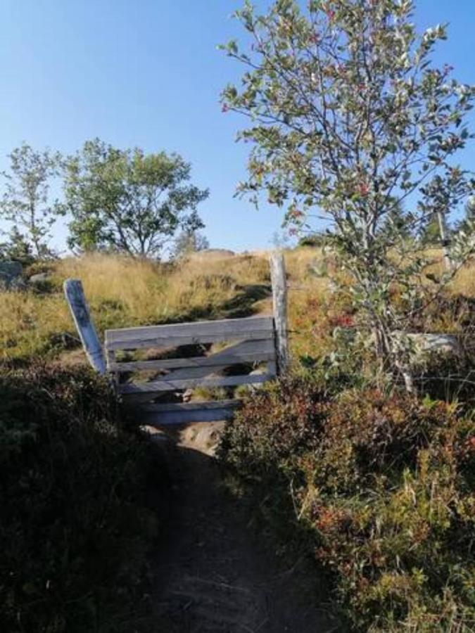 Les Locations De Stephanie Les Hautes Vosges Sondernach Eksteriør billede