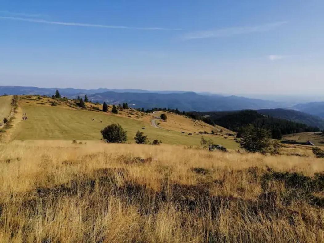 Les Locations De Stephanie Les Hautes Vosges Sondernach Eksteriør billede