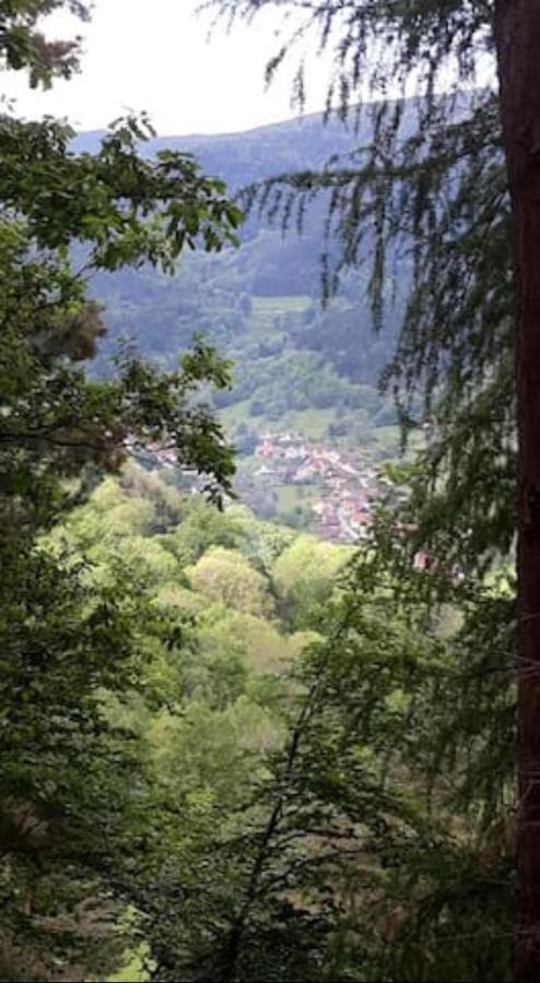 Les Locations De Stephanie Les Hautes Vosges Sondernach Eksteriør billede